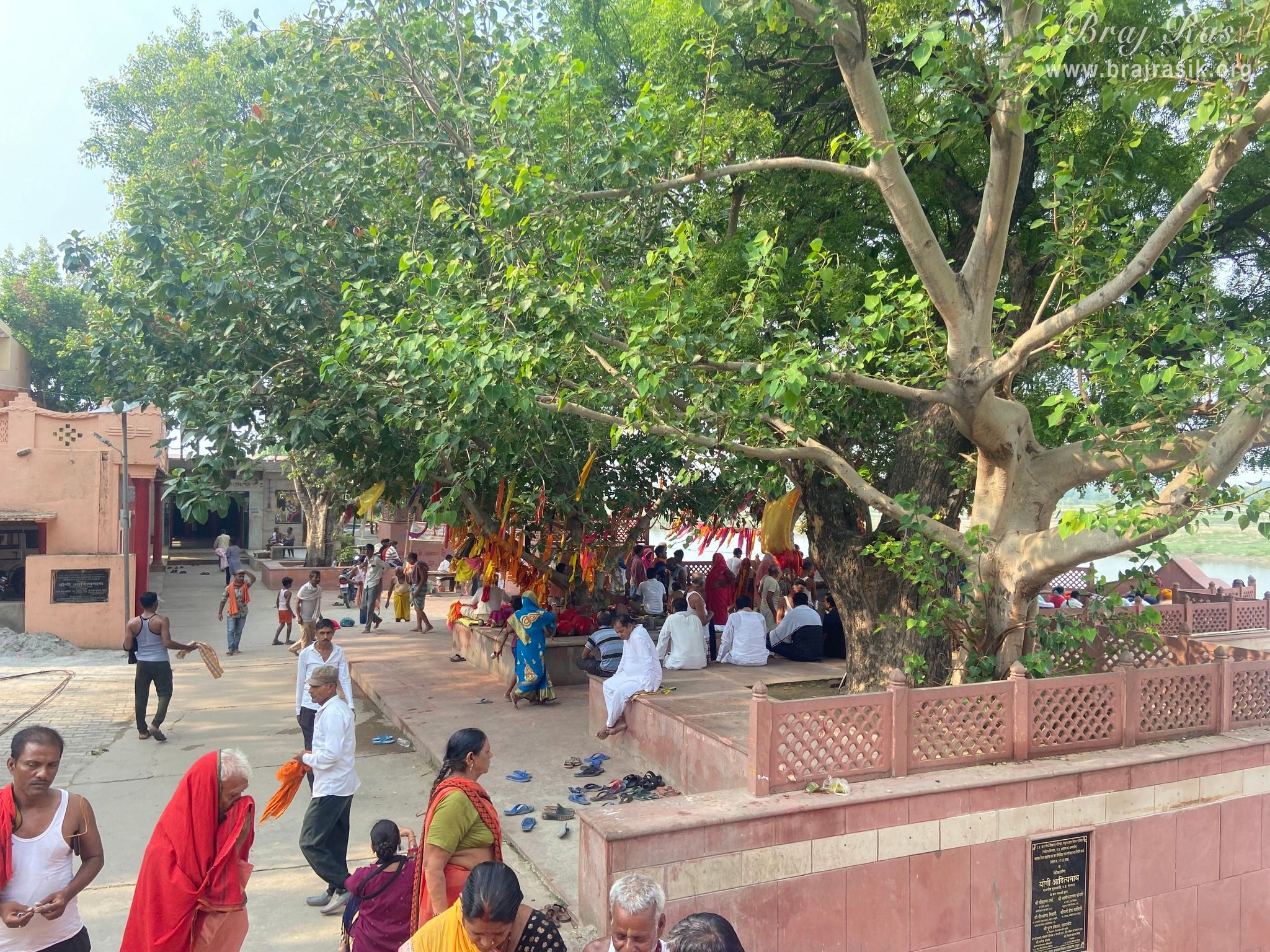 View of devotees at Brahmand Ghat in Gokul Mahavan.