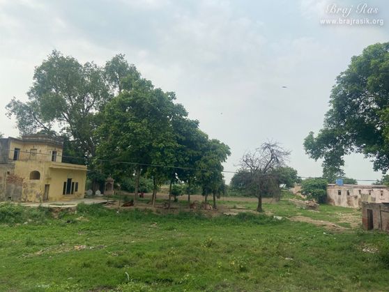 A view of the beautiful forest near Brahmand Ghat in Gokul Mahavan.