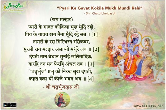 प्यारी के गावत कोकिला मुख मूँदि रही - श्री चतुर्भुजदास जी