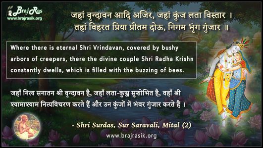 जहां वृन्दावन आदि अजिर, जहां कुंज लता विस्तार - श्री सूरदास, सूर सारावली, मीतल (2)