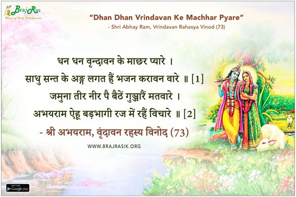 Dhan Dhan Vrindavan Ke Machhar Pyare - Shri Abhay Ram, Vrindavan Rahasya Vinod (73)