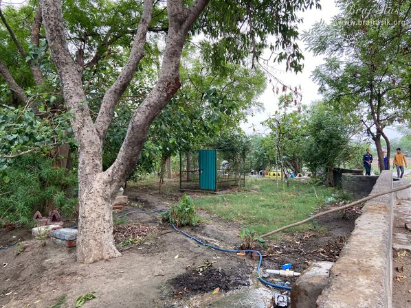 Beautiful view of the forest area at Yashoda Kund and Hau Bilau in Nandgaon.