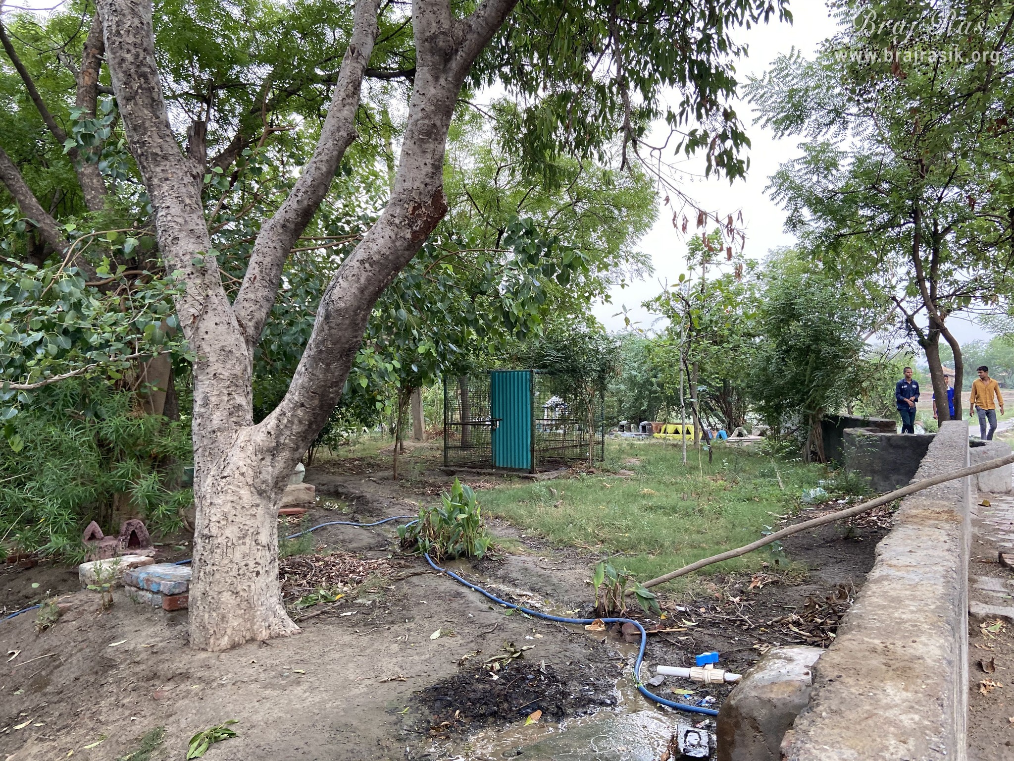 Beautiful view of the forest area at Yashoda Kund and Hau Bilau in Nandgaon.