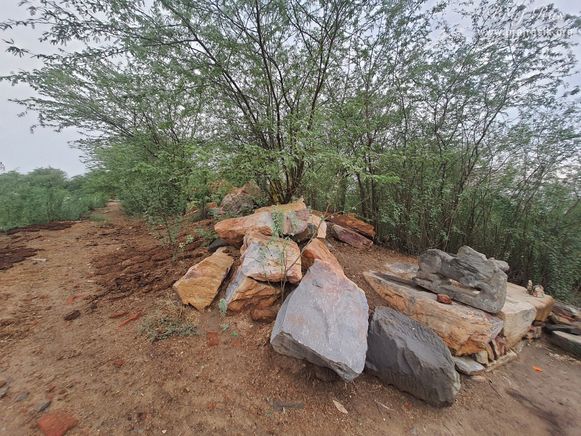 View of Hau Bilau in the forest near Yashoda Kund in Nandgaon.