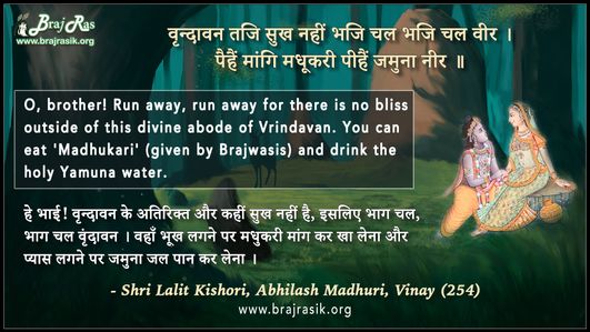 वृन्दावन तजि सुख नहीं भजि चल भजि चल वीर - श्री ललित किशोरी, अभिलाष माधुरी, विनय (254)