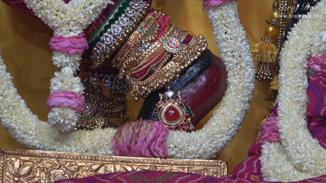 Lotus feet of Shri Radha Vallabh Lal