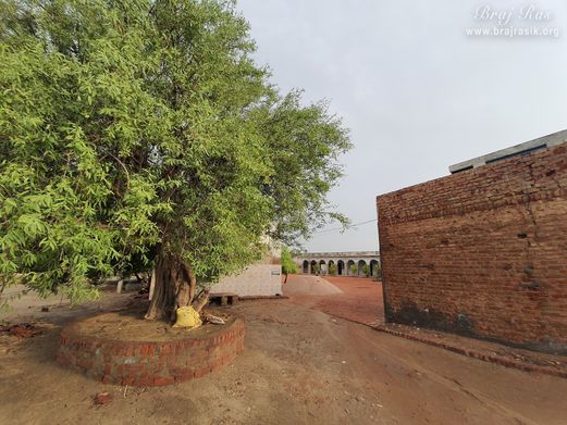 नंदगाँव में नंद बैठक का एक दिव्य दृश्य ।