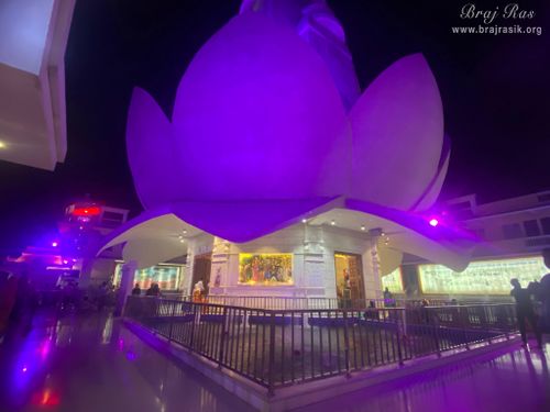 Cross view of Shri Priyakant Ju Temple with purple lighting in Vrindavan.