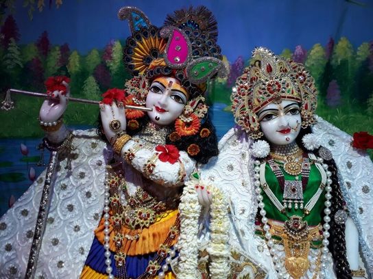 Close darshan of Shri Priyakant Ju in Shri Priyakant Ju Temple, Vrindavan.