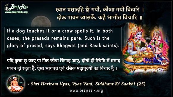 Swan Prasadahi Chhvai Gayu - Shri Hariram Vyas, Vyas Vani, Siddhant Ki Saakhi (25)