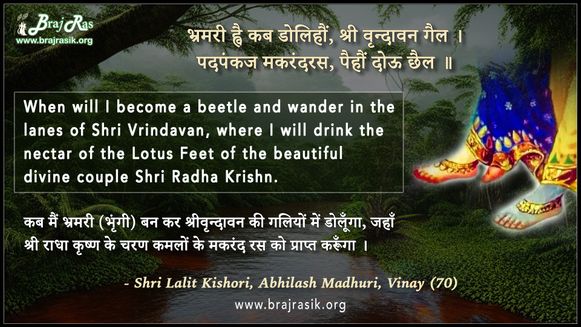 भ्रमरी ह्वै कब डोलिहौं, श्री वृन्दावन गैल - ललित किशोरी जी, अभिलाष माधुरी, विनय (70)