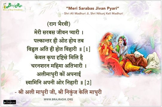 मेरी सरबस जीवन प्यारी - श्री अली माधुरी जी, श्री निकुंज केलि माधुरी, मंगल (12)