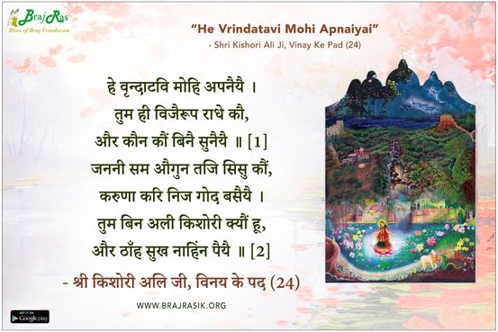 हे वृन्दाटवि मोहि अपनैयै - श्री किशोरी अलि जी, विनय के पद (24)