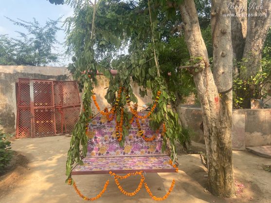 View of the swing installed for Shrinathji near the samadhi place of Shri Govind Swami in Jatipura, Govardhan.