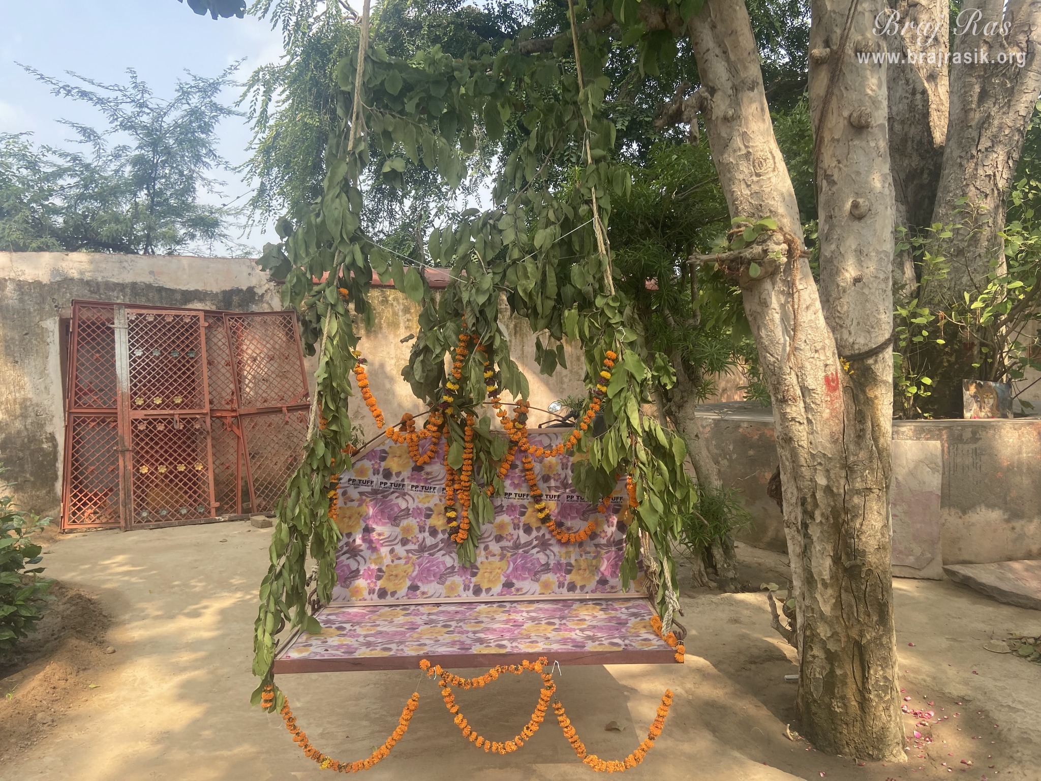 View of the swing installed for Shrinathji near the samadhi place of Shri Govind Swami in Jatipura, Govardhan.