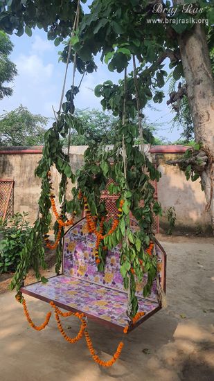 Darshan of the swing which is installed for Shrinathji near the samadhi place of Shri Govind Swami in Jatipura, Govardhan.