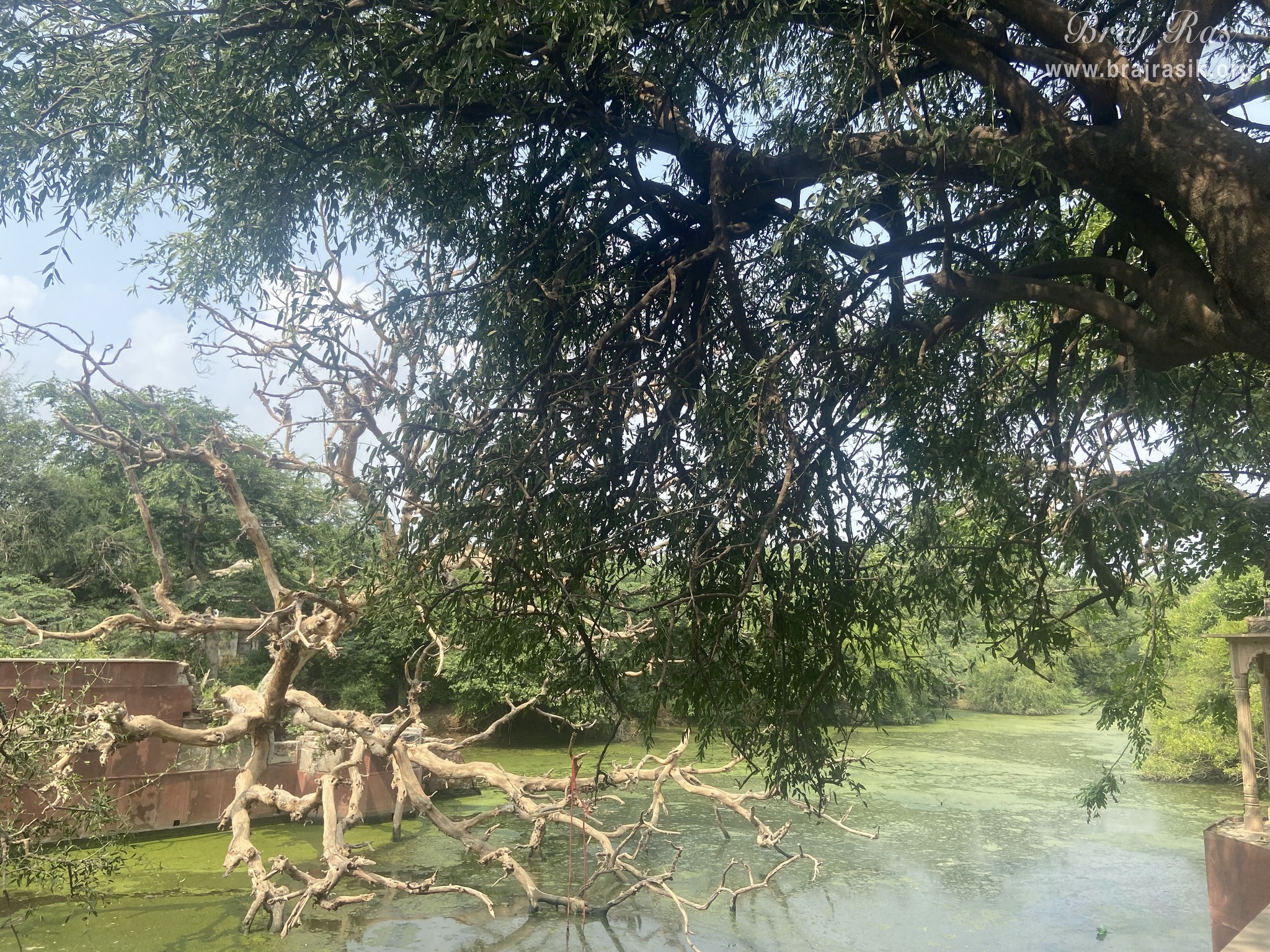 A nice view of Aerawat Kund in Jatipura, Govardhan.