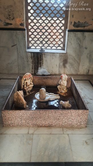 Darshan of Shiva Linga in Bhandirvan.