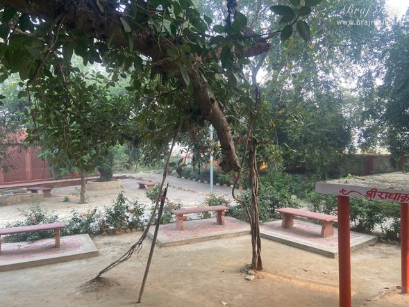 A view of the lovely garden close to Shri Radha Krishn's wedding venue in Bhandirvan.