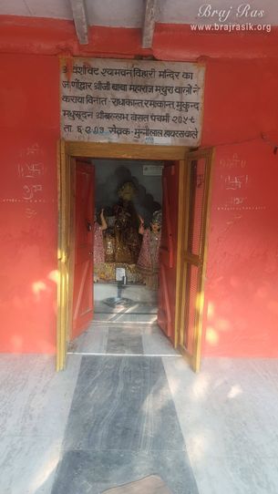 Darshan of Shri Shyamvan Bihari Ji near Vanshivat.
