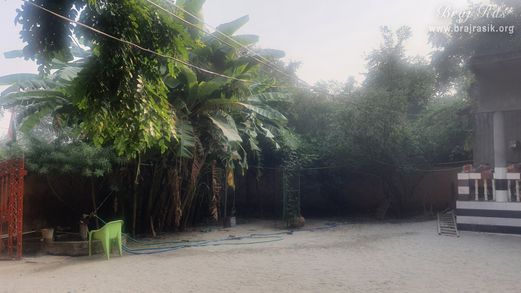 View of beautiful trees near Vanshivat tree.
