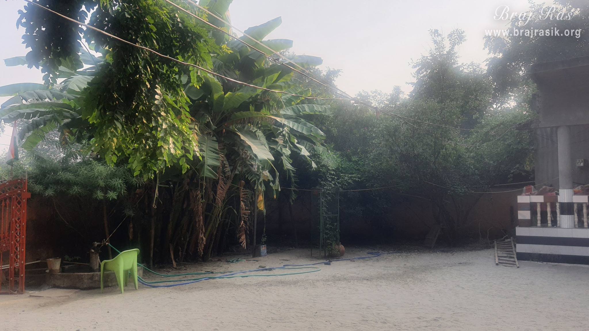 View of beautiful trees near Vanshivat tree.