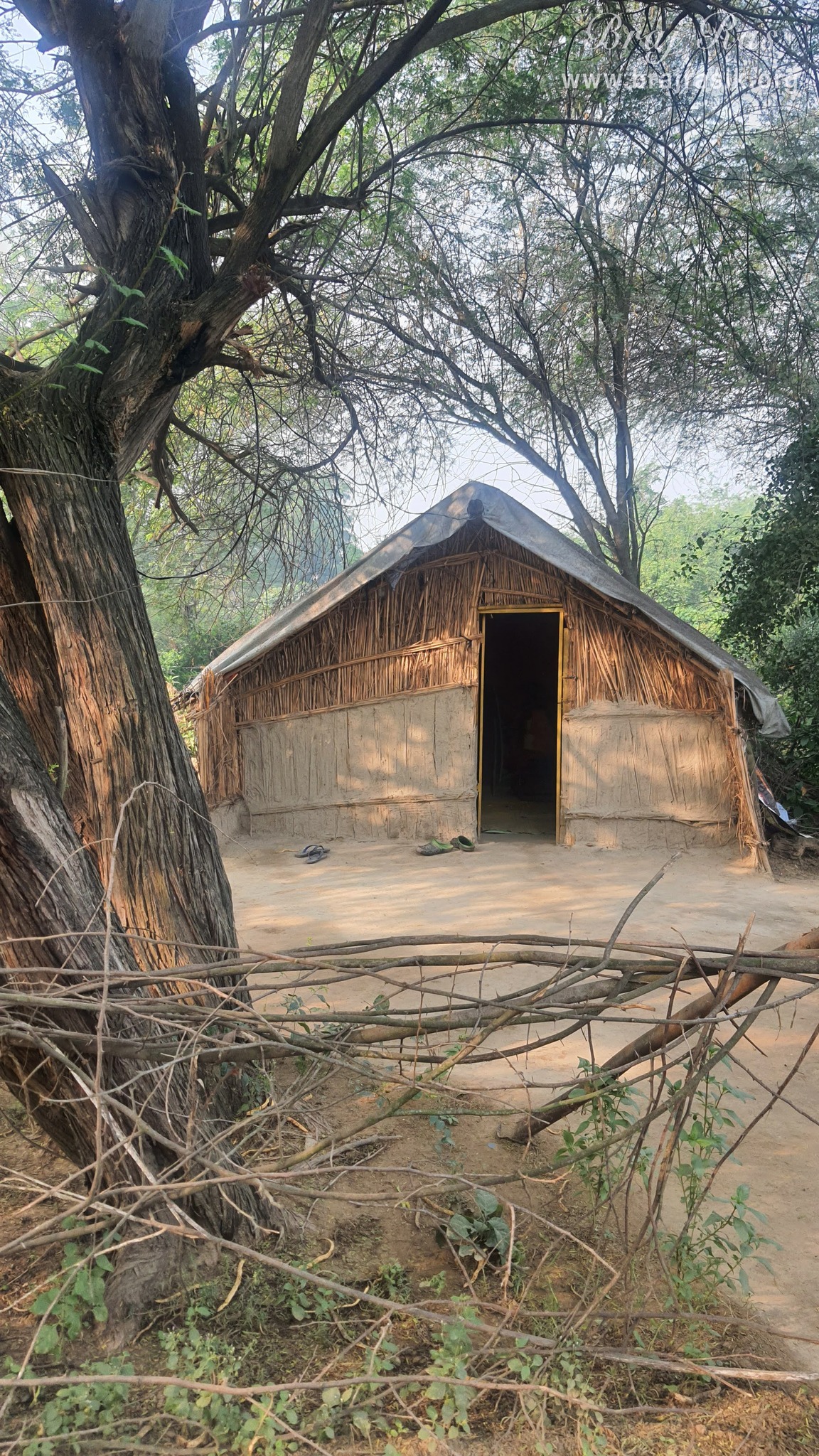 View of a small hut of a saint near Vanshivat.