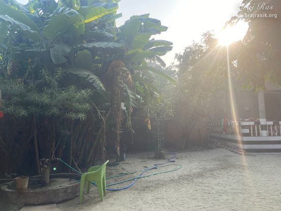 View of several trees surrounding the bhajan kutir of a saint in Vanshivat.