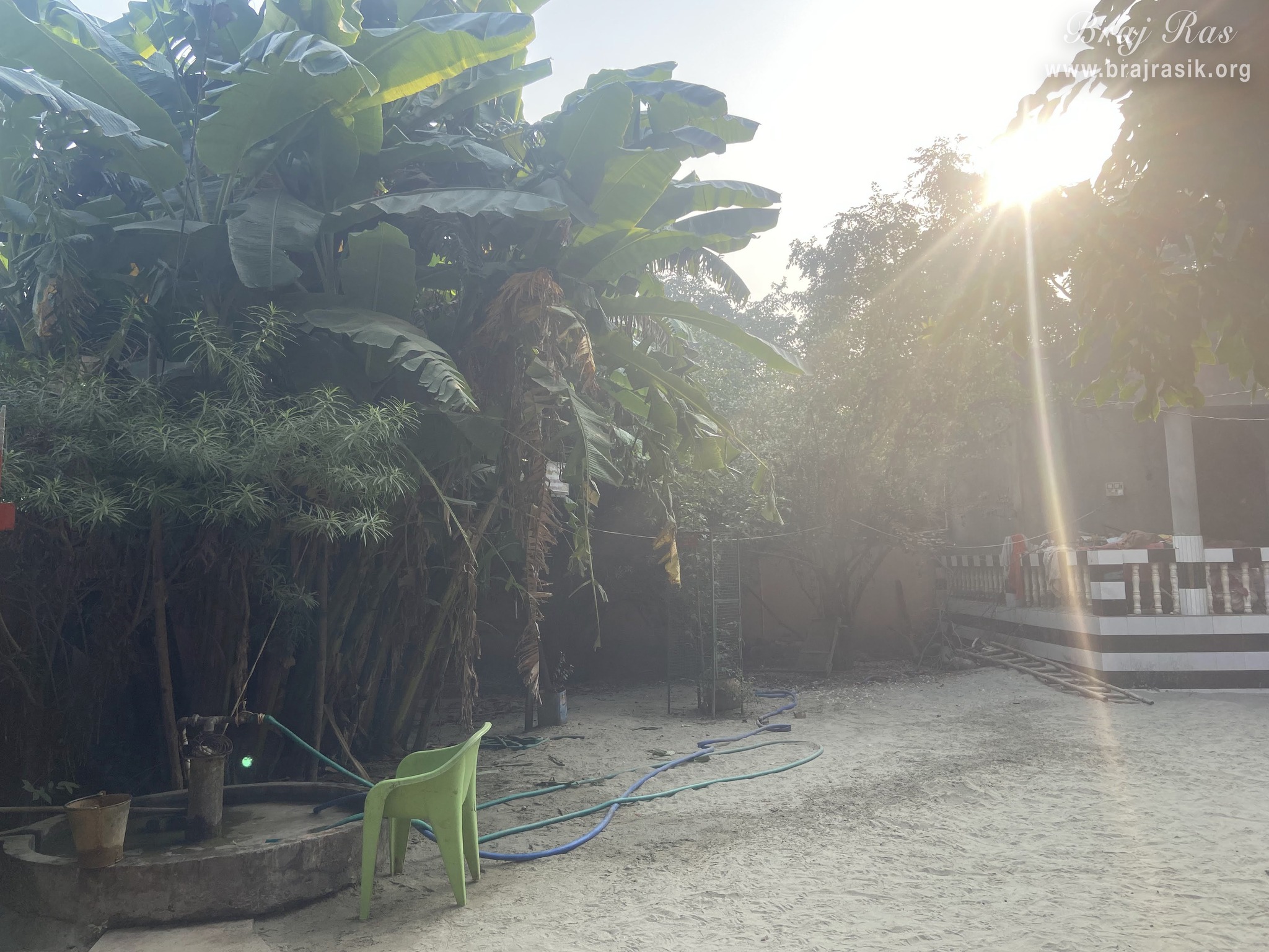 View of several trees surrounding the bhajan kutir of a saint in Vanshivat.