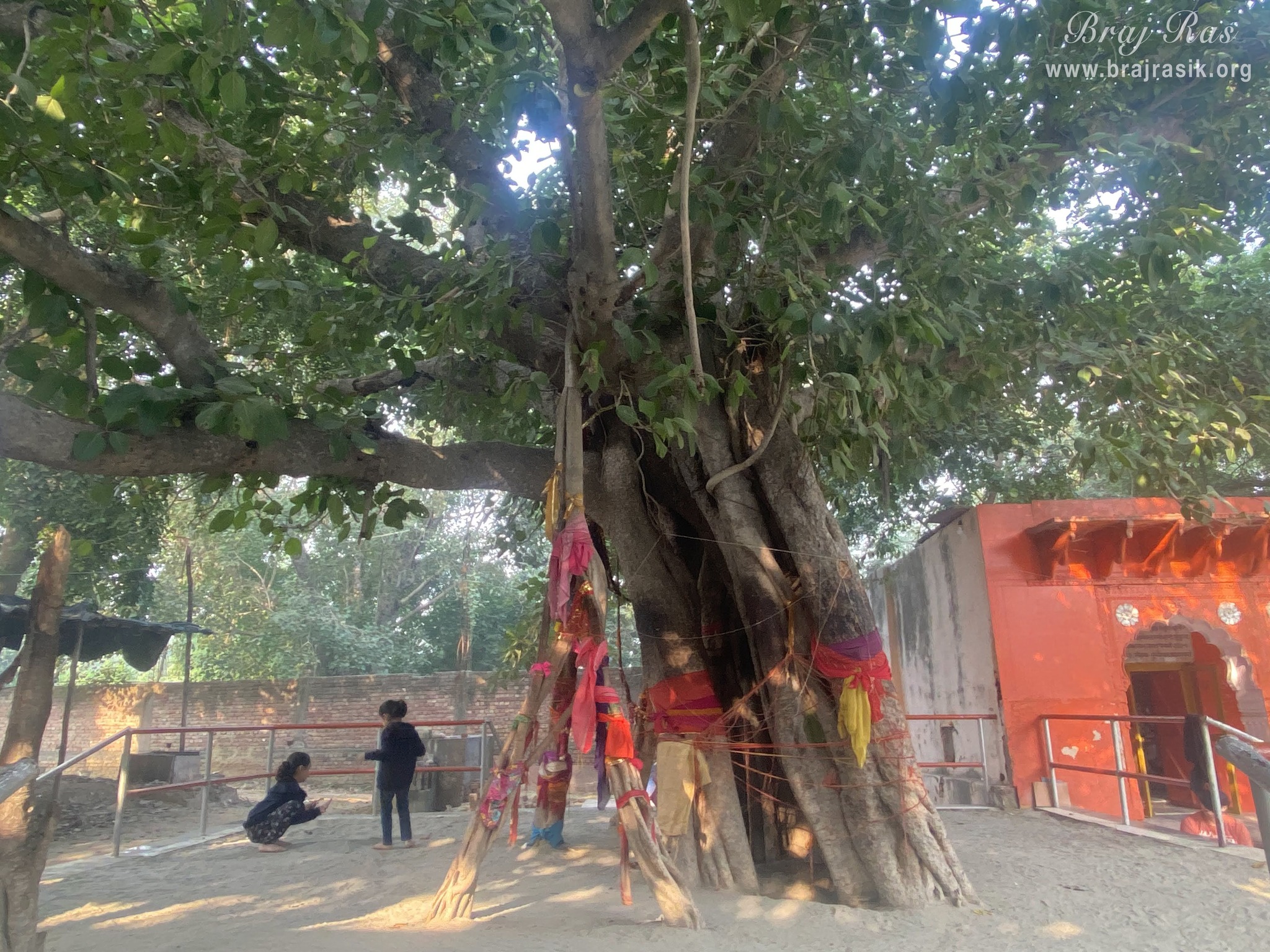 A nice and pleasant view of Vanshivat.
