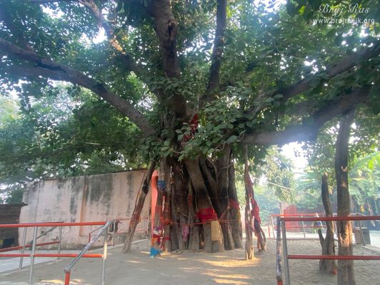 A pleasant view of Vanshivat.