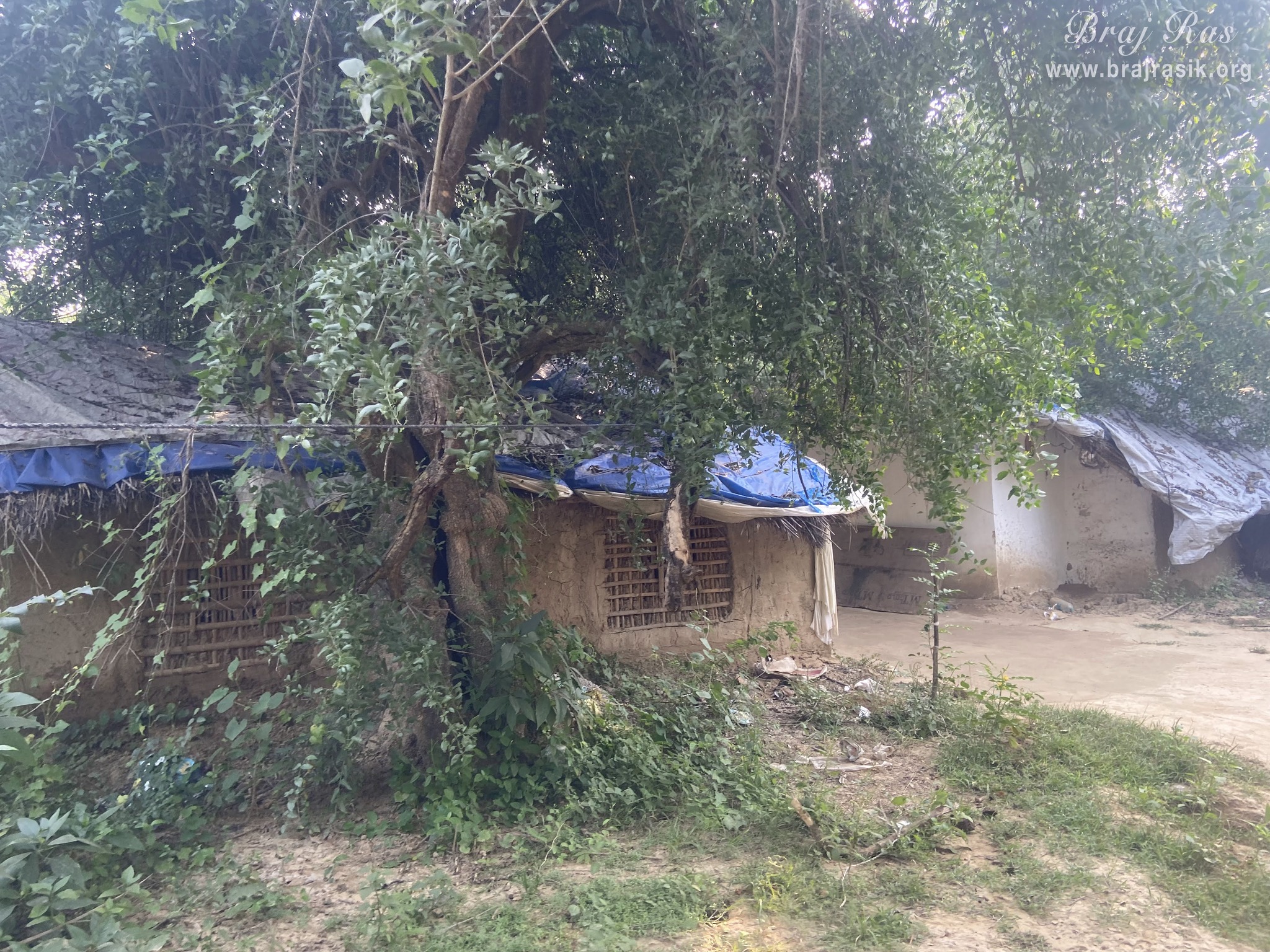 A pleasant surrounding view of the bhajan kutir of the saints in Vanshivat.