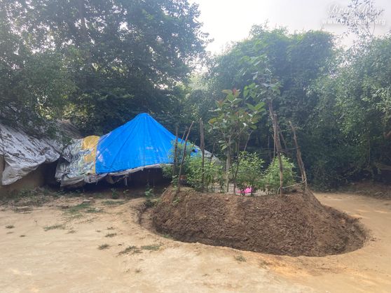 View of Tulsi planted outside the bhajan kutir of the saints in Vanshivat.