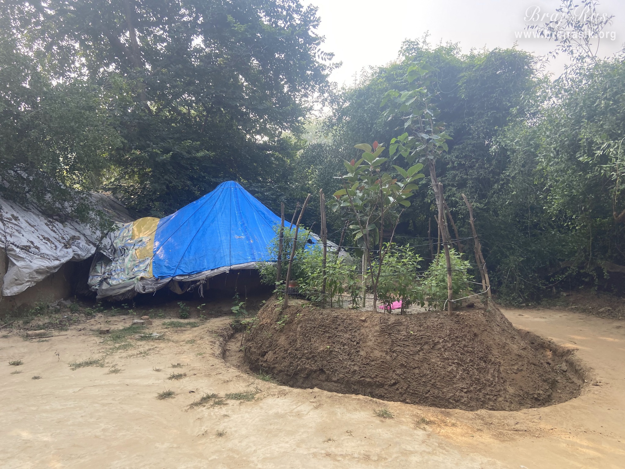 View of Tulsi planted outside the bhajan kutir of the saints in Vanshivat.