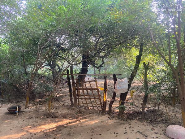 A restful view of outside the bhajan kutir of a sadhu in Vanshivat.