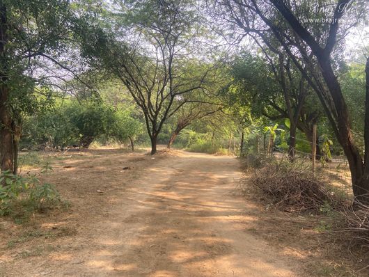 Beautiful view of the forest in Vanshivat.