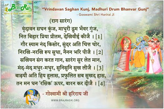 Vrindavan Saghan Kunj, Madhuri Drum Bhanvar Gunj - Goswami Shri Harirai Ji