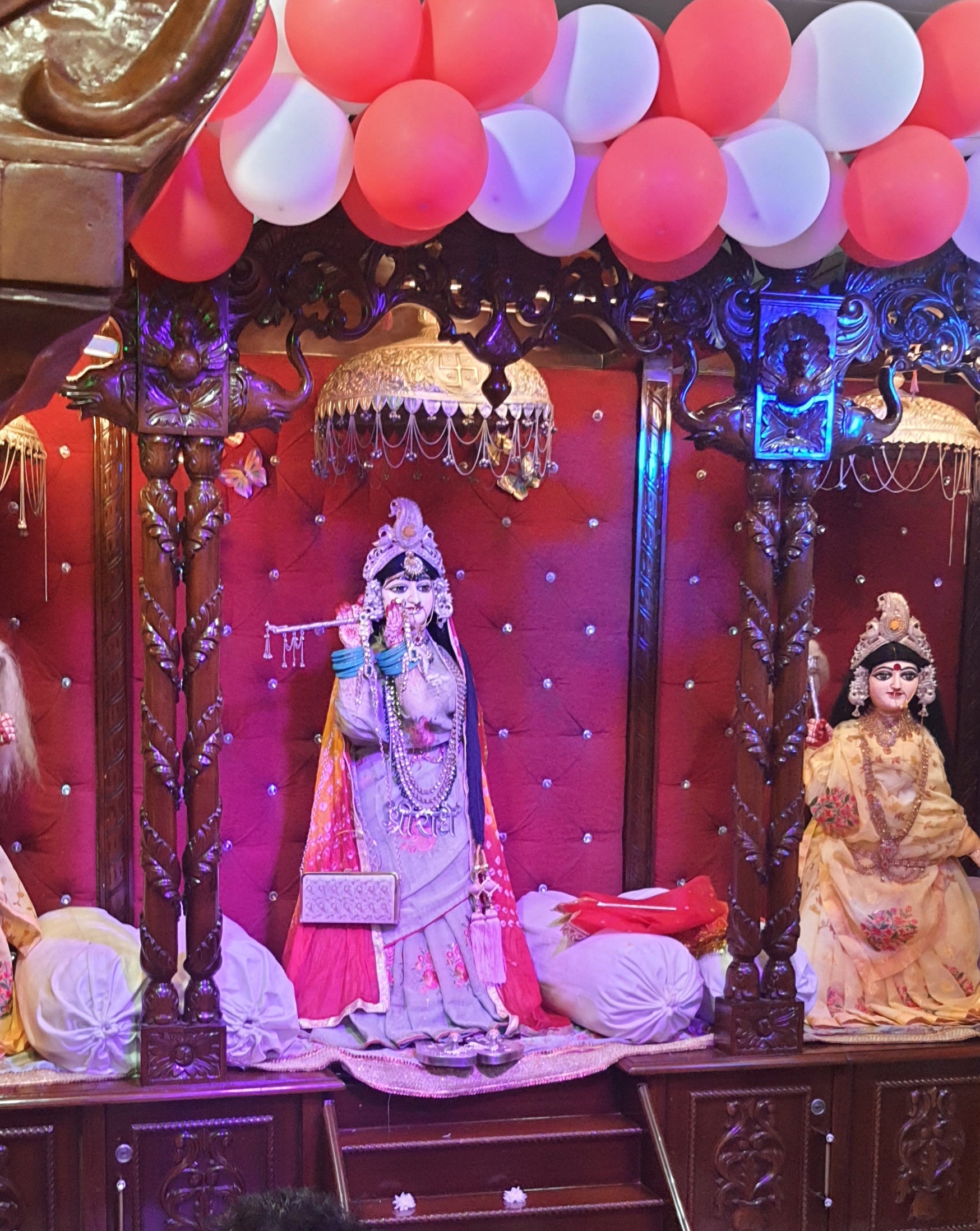 Vanshichor Radharani Darshan at Nidhivan, Radhey Radhey.