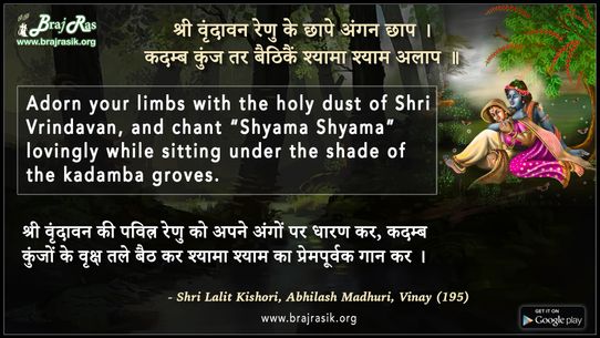 श्री वृंदावन रेणु के छापे अंगन छाप - श्री ललित किशोरी, अभिलाष माधुरी, विनय (195)