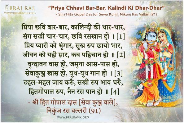 Priya Chhavi Bar Bar Kalindi Ki Dhar Dhar - Shri Hita Gopal Das [of Sewa Kunj], Nikunj Ras Vallari (91)