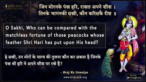 Jin Moran Ke Pankh Hari, Raakhat Apne Sheesh - Braj Ke Dohe