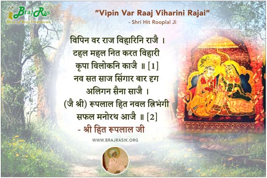 विपिन वर राज विहारिनि राजै - श्री हित रूपलाल जी