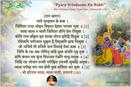 प्‍यारे वृन्‍दावन के रूख -  श्री हरिराम व्यास, व्यास वाणी, उत्तरार्ध (10)