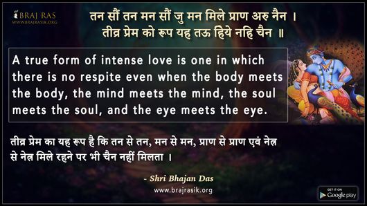  तन सौं तन मन सौं जु मन मिले प्राण अरु नैन - श्री भजनदास