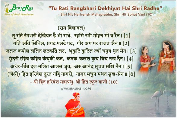 तू रति रंगभरी देखियत है श्री राधे -  श्री हित हरिवंश महाप्रभु, श्री हित स्फुट वाणी (10)