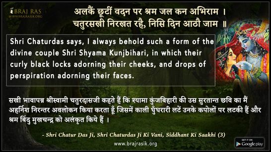  अलकैं छूटीं वदन पर श्रम जल - श्री चतुर दास जी की वाणी, सिद्धांत की साखी (3)