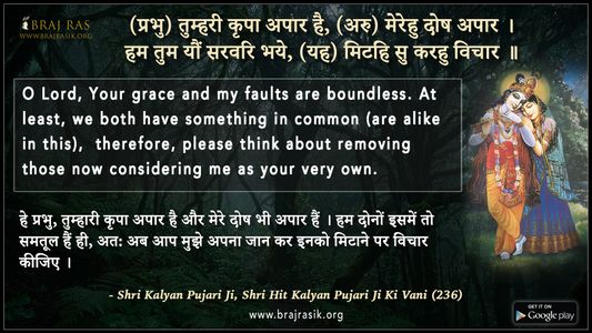 Prabhu Tumhari Kripa Apaar Hai -  Shri Kalyan Pujari Ji Ki Vani (236)