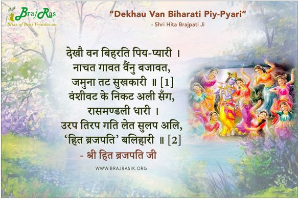 Dekhau Van Biharati Piy Pyari - Shri Hita Brajpati Ji 