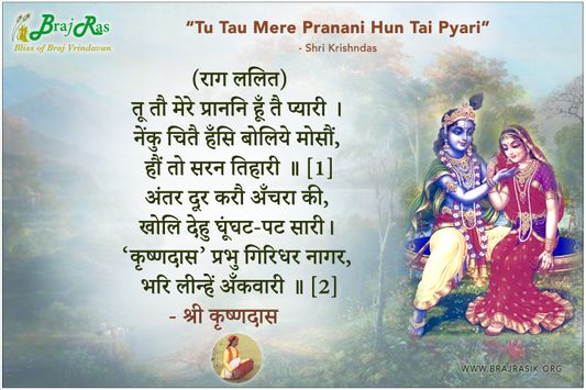 तू तौ मेरे प्राननि हूँ तै प्यारी - श्री कृष्णदास, श्री कृष्णदास अधिकारी जी की वाणी (828)