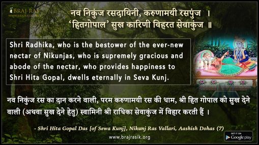 Nav Nikunj Rasdayani, Karunamayi Raspunj - Shri Hita Gopal Das [of Sewa Kunj], Nikunj Ras Vallari, Aashish Dohas (7)